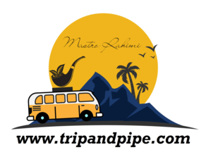 https://afsaranefarhang.ir/wp-content/uploads/2025/01/Travel-logo-design-Graphics-9786083-1-1.png